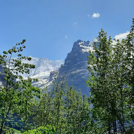 דירה Zur Hoehe By Interhome *