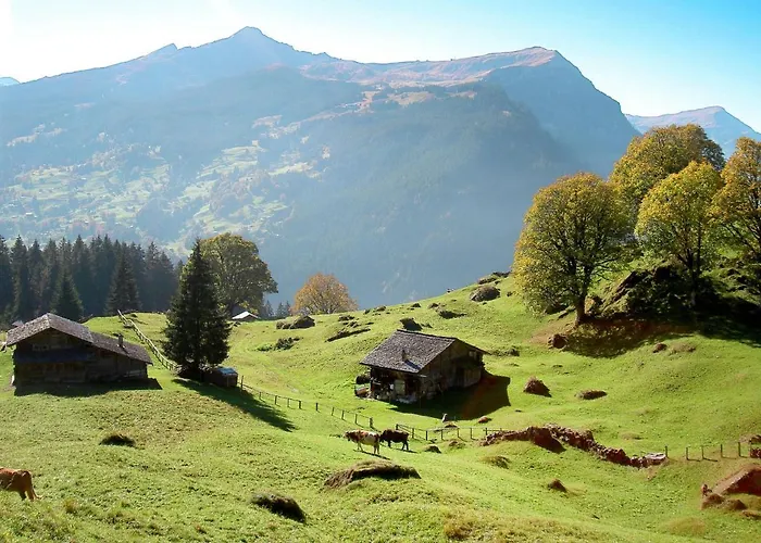 Zur Hoehe By Interhome Apartamento