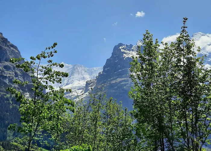 Apartamento Zur Hoehe By Interhome *