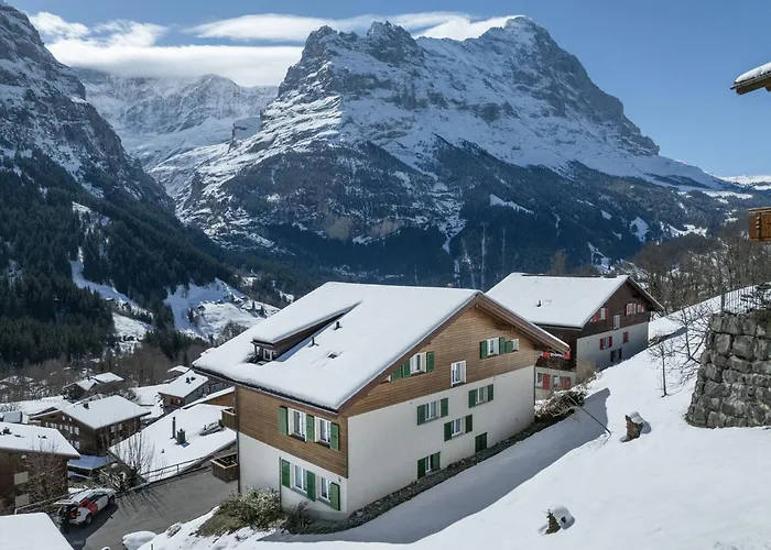 Zur Hoehe By Interhome Grindelwald