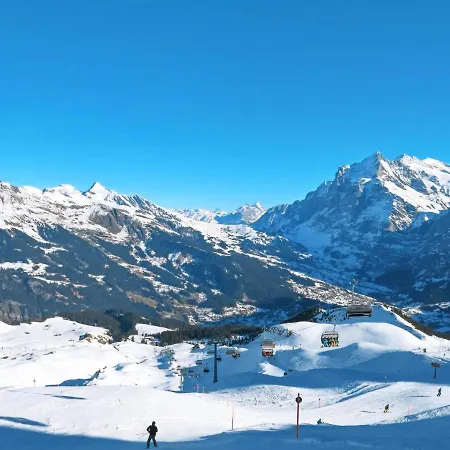 Zur Hoehe By Interhome Appartamento Grindelwald